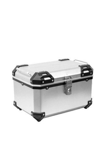 Bauletto con Piastra Universale in Abs colore Alluminio 52 LT