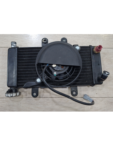 1211000.G01.J.01 Radiatore completo Wottan GP1
