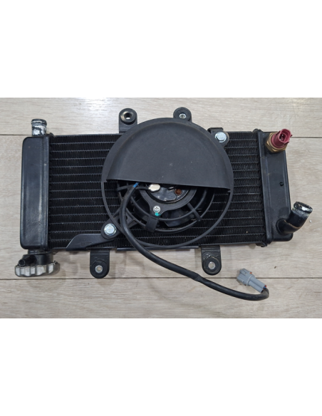 1211000.G01.J.01 Radiatore completo Wottan GP1