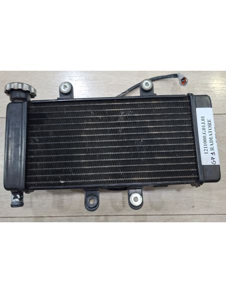 1211000.G01.J.01 Radiatore completo Wottan GP1