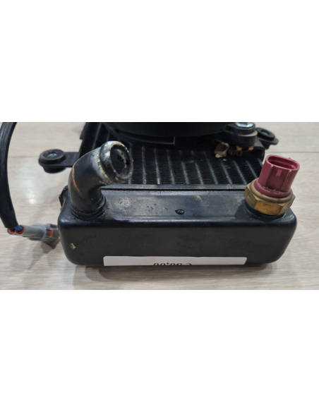 1211000.G01.J.01 Radiatore completo Wottan GP1