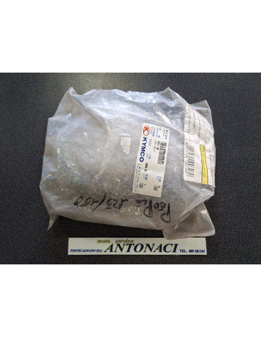 00151372 Vetro Trasparente strumentazione contachilometri KYMCO PEOPLE 125 / 150