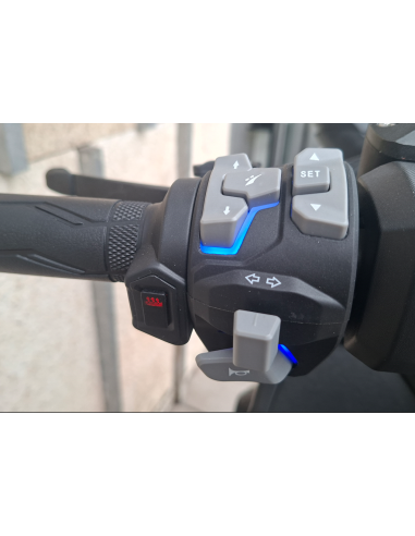 KL BRERA 350 GT in Pronta consegna