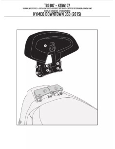 TB6107 Schienalino passeggero 2